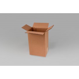 Caja St 12.0 X 9.0 X 18.1 cm – 10 Piezas