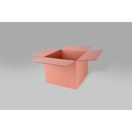 Caja St 38.0 X 38.0 X 30.0 cm -10 Piezas