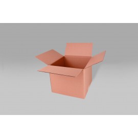Caja St 30.5 X 30.5 X 25.4 cm -10 Piezas