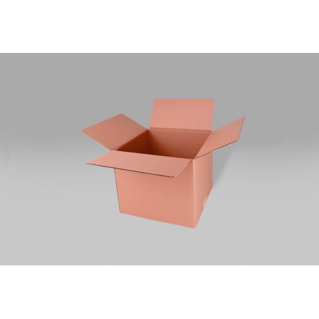 Caja St 30.5 X 30.5 X 25.4 cm -10 Piezas