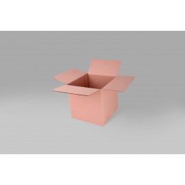 Caja St 25.4 X 25.4 X 25.4 cm -10 Piezas