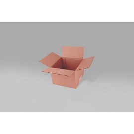 Caja St 22.0 X 22.0 X 15.1 cm -10 Piezas