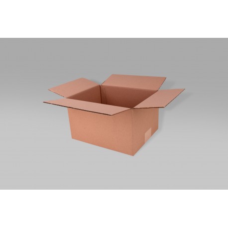 Caja St 38.1 X 26.3 X 21.6 cm – 10 Piezas