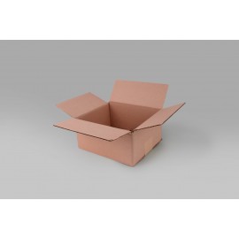 Caja St 27.5 X 23.0 X 12.5 cm – 10 Piezas
