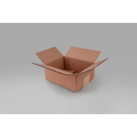 Caja St 25.0 X 20.0 X 10.0 cm – 10 Piezas
