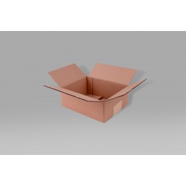 Caja St 22.0 X 14.5 X 9.6 cm – 10 Piezas