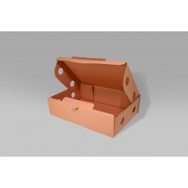 Caja Armable 31.5 X 21.0 X 8.0 cm – 10 Piezas