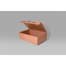 Caja Armable 23.5 X 15.5 X 7.0 cm – 10 Piezas