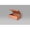 Caja Armable 23.5 X 15.5 X 7.0 cm – 10 Piezas