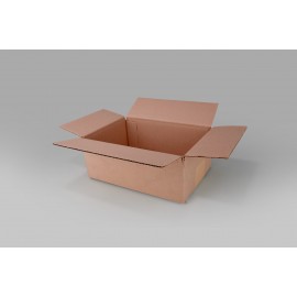 Caja St 30.0 X 20.0 X 11.0 cm – 10 Piezas