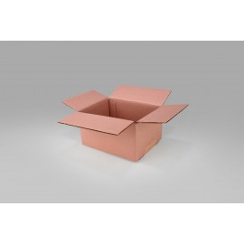 Caja St 20.0 X 15.0 X 10.0 cm – 10 Piezas