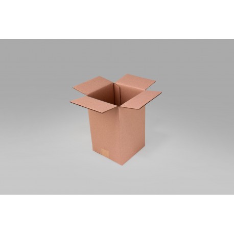 Caja St 13.5 X 13.5 X 21.4 cm – 10 Piezas