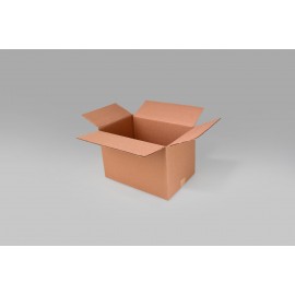 Caja St 30.0 X 20.3 X 20.3 cm – 10 Piezas